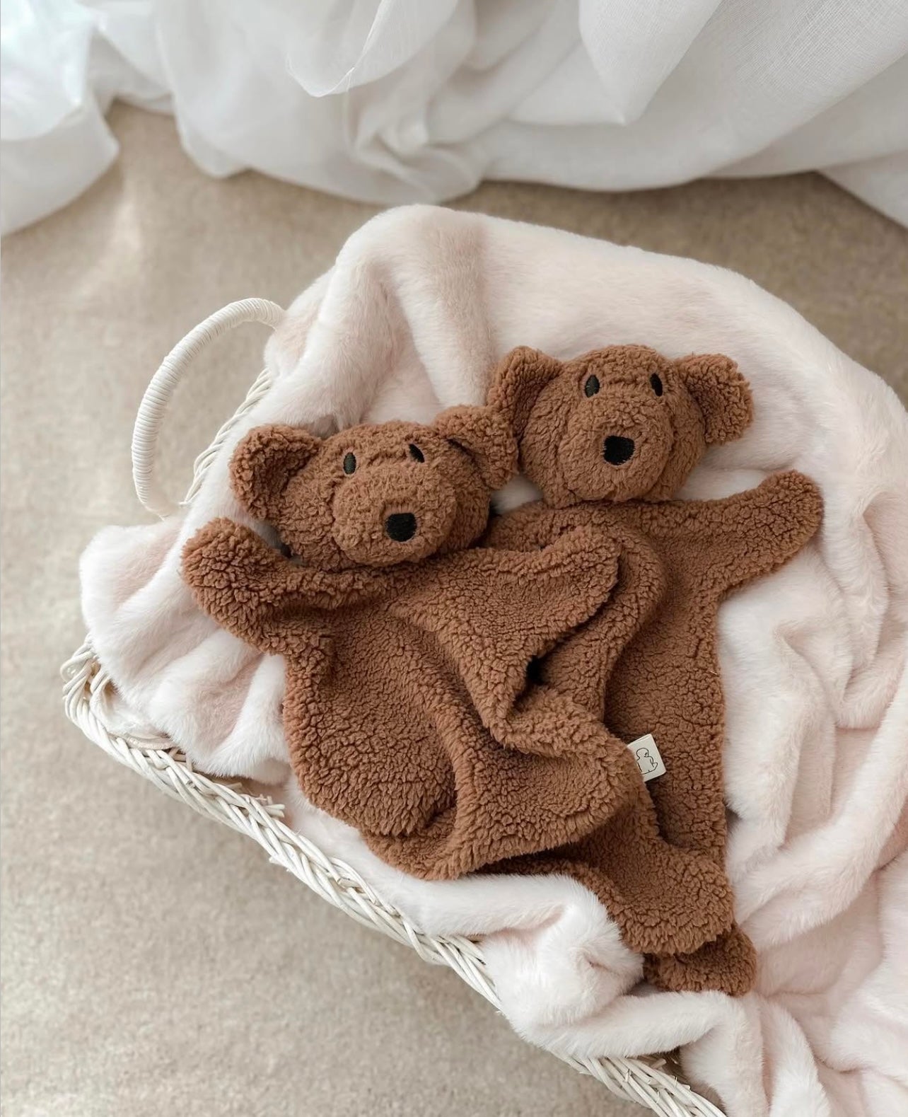 Little Teddy Comfot