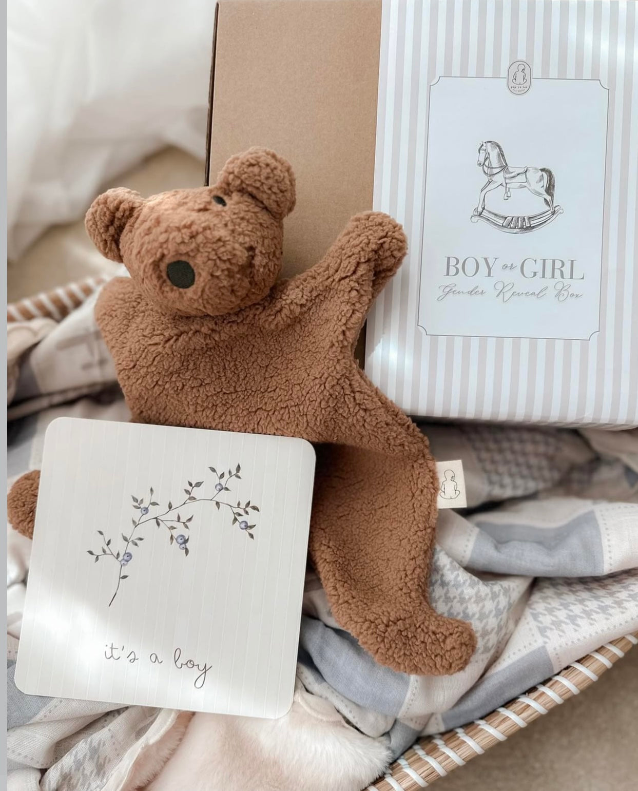 Little Teddy Comfot