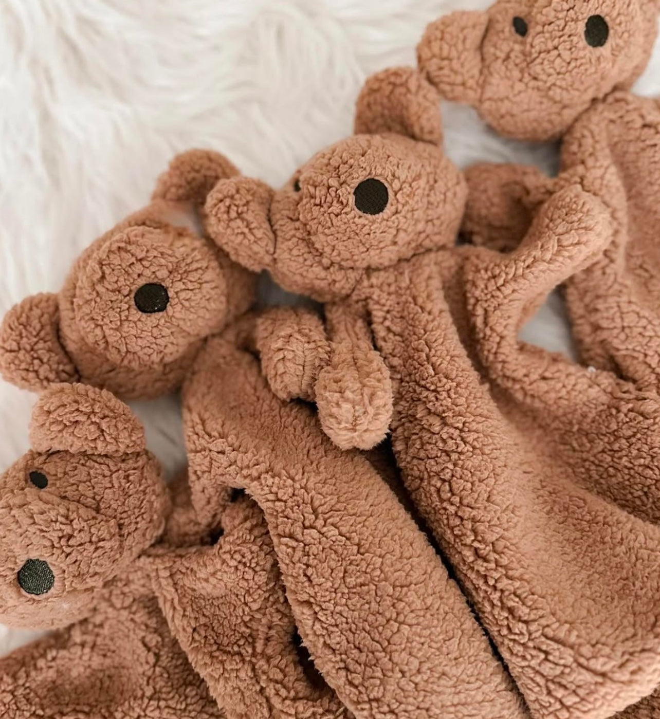 Little Teddy Comfot