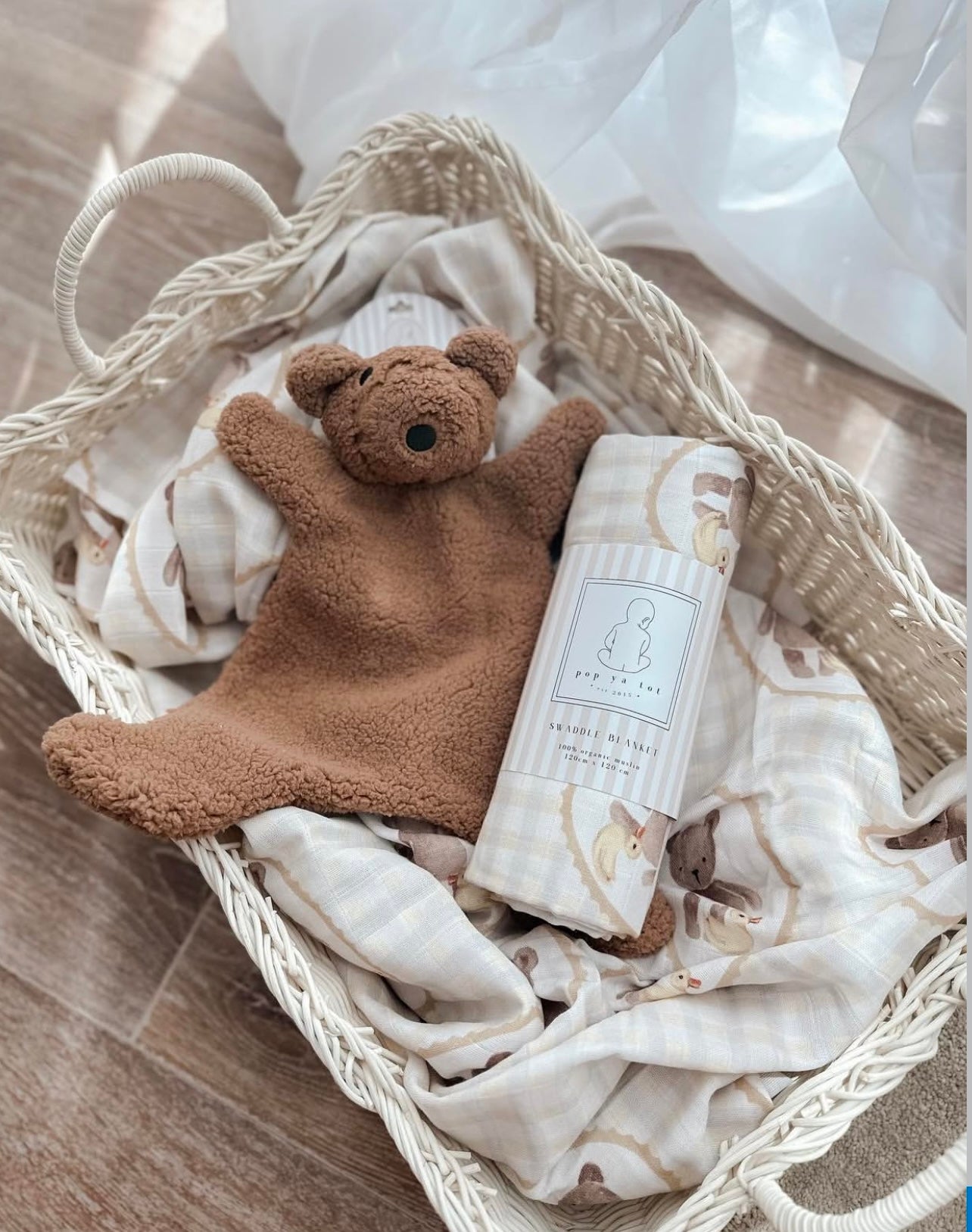 Little Teddy Comfot