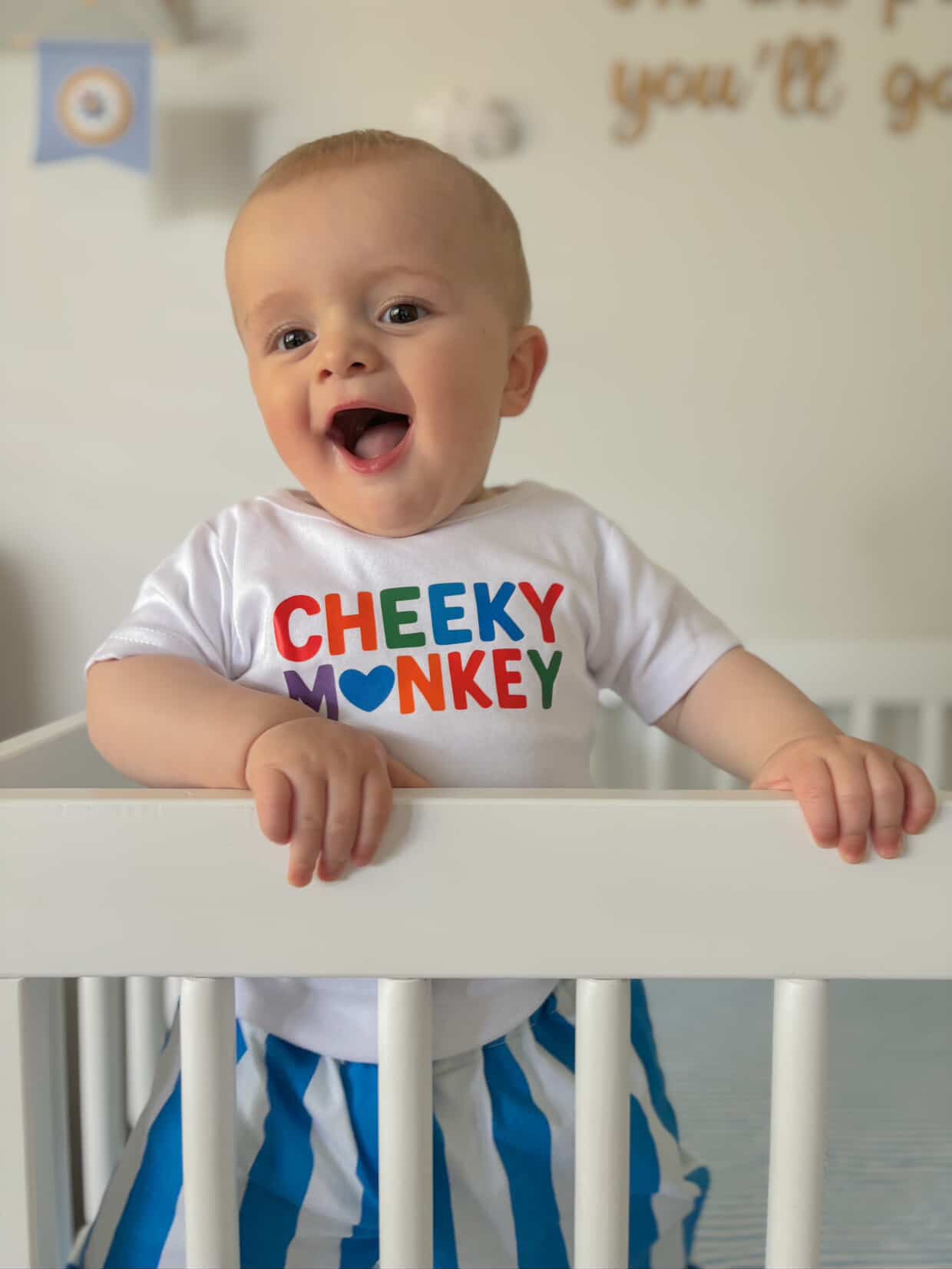 Cheeky Monkey