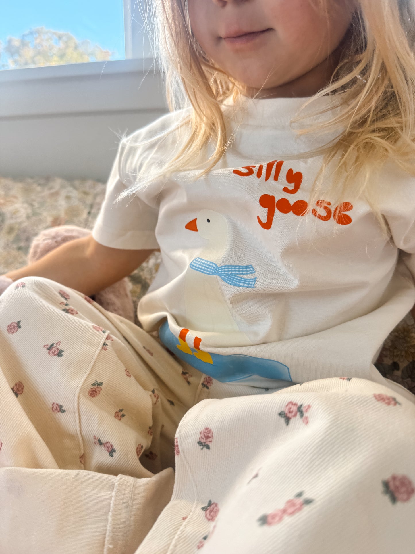 Silly Goose Club
