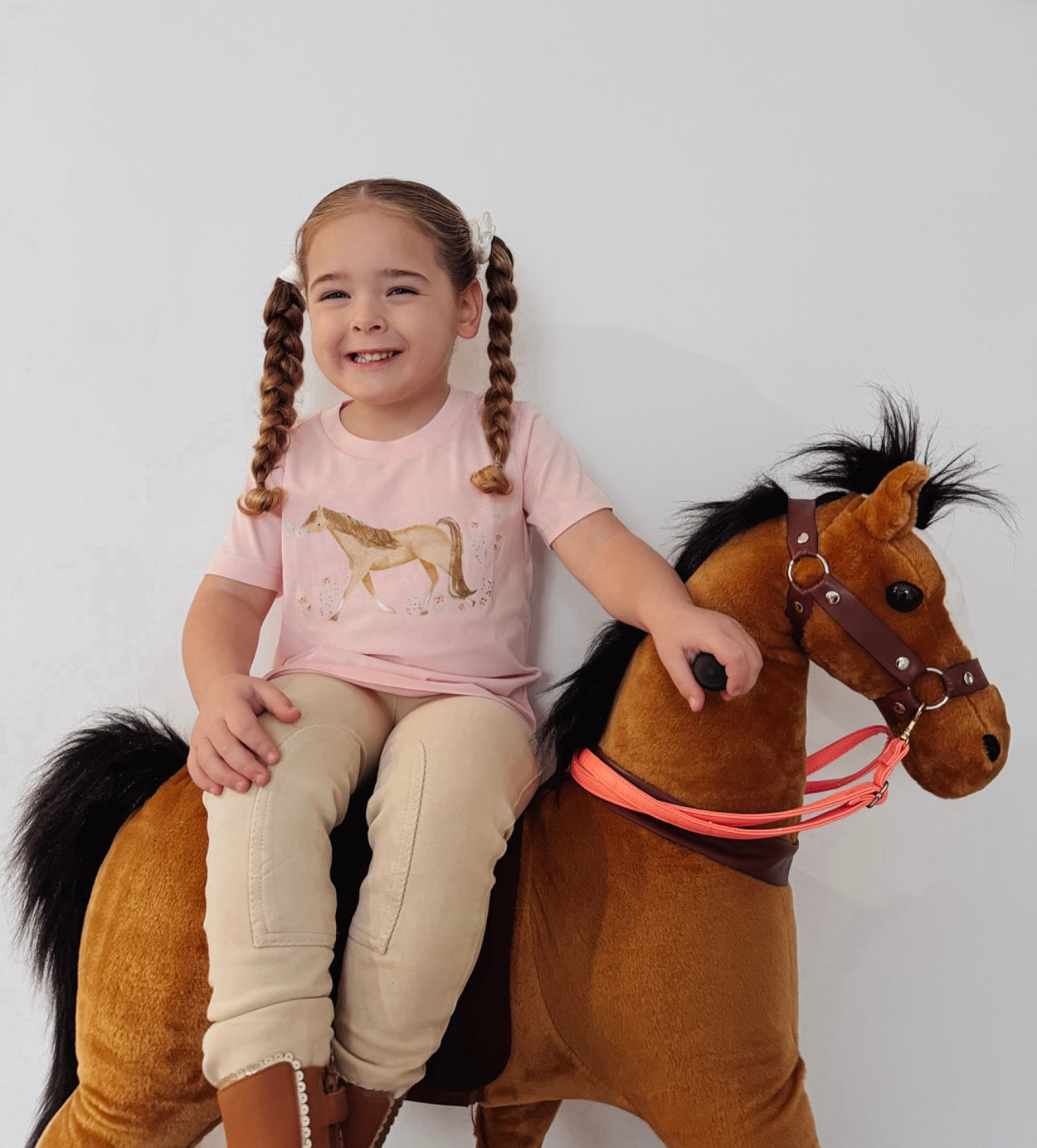Horse dreams