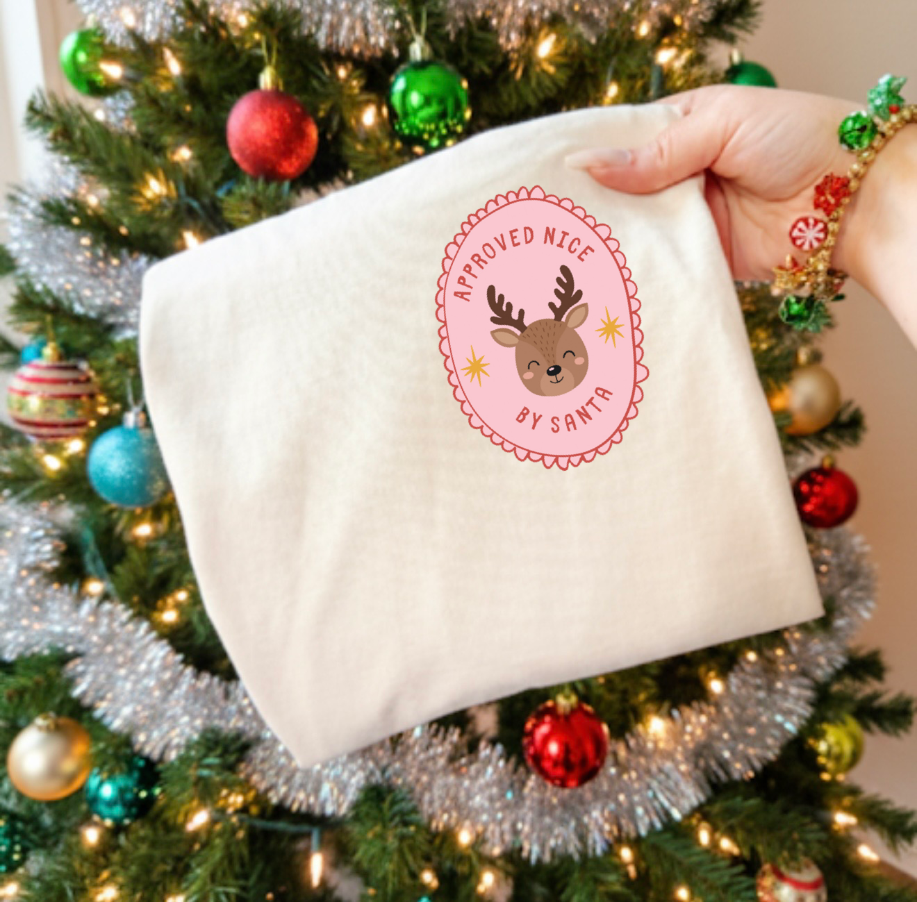 Nice Or Naughty List