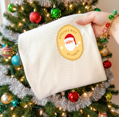 Nice Or Naughty List